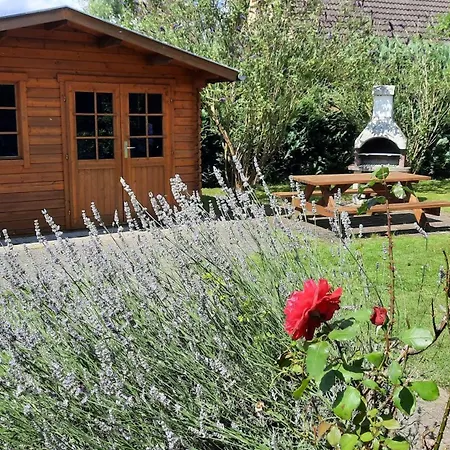 Sasse Mit Garten & Grill Molschow