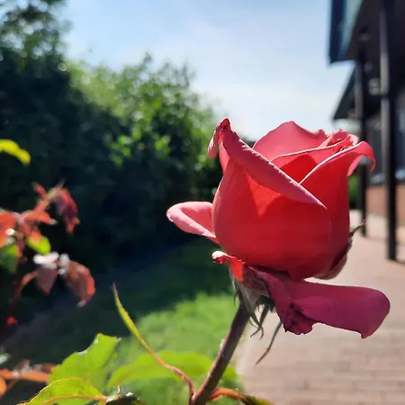 Sasse Mit Garten & Grill Molschow