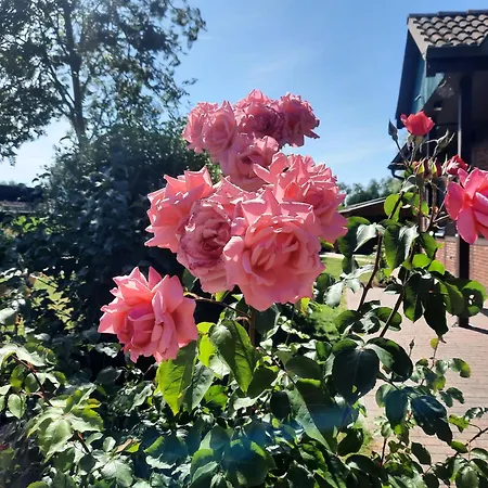 Homestay Sasse Mit Garten & Grill Molschow